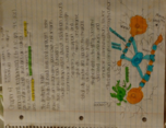 Chapter 4: Infancy and toddlerhood