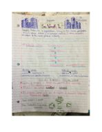 Sociology week two notes