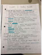 BY261 Exam 2