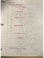 PSY 120 Chapter 4 Notes