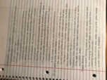 Week 2: Books & Print Culture