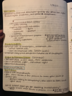 LSB 3213, Week 3 Notes