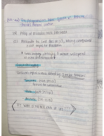 World Civilizations Week 4 Lecture Notes