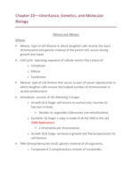 Week 3 & Week 4 Notes BSC 2023