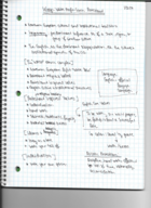 Notes for Week 4