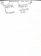 2120 Physiology Blood part 1