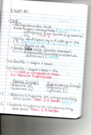 Study Guide 