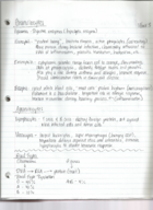 anatomy week 3