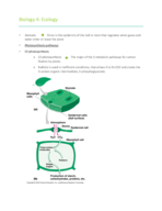 Photosynthesis pathways