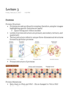 Biochemistry Lecture 3 Notes