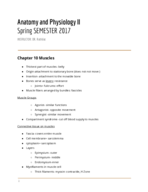 BIO 162: Muscle Physiology 