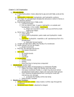 Chapter 5 Notes