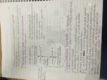 CMST 370, Week 2