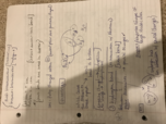 Bio notes wk 3