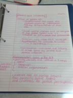 Week 3: Politics and Citizenship