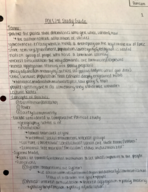 POLS 241 Exam 1