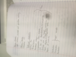 Thermo II Week 2
