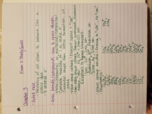 Exam 2 Study Guide and Additional Materials