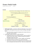 Biochemistry Exam 1 Study Guide