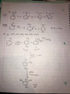 Organic Chem Chapter 16 review
