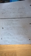 Genetics Population Genetics