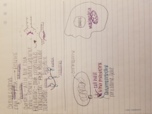 Biochem 