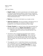 Zap lab Key Terms