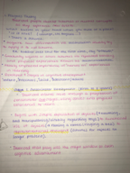 Week 4 Notes