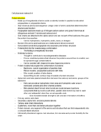 Cell Phys Ch 4 Book Notes