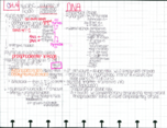 Proteins, Lipids, and Carbs