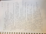 Week 5: 2/7 Notes