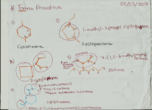 class notes