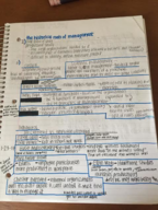 MGMT 320 Ch. 2 History