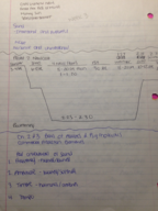 Week 3 Lecture Notes