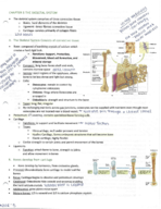 Human Biology, week 5