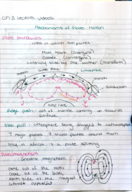 Ocean 100 Week 3 Lecture Notes