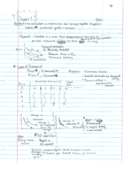 Micro chapter 4 class notes 
