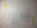 Making Sense of Context 