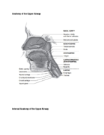 Airway Assessment