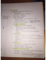 Anatomy Week 3 