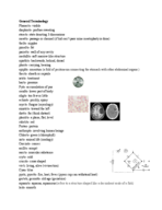 General Terminology Study Guide