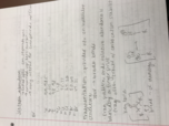 Study Guide Exam