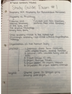 ANATOMY 204 Study Guide #1