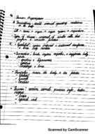Unit One Notes