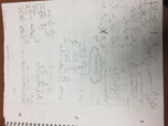 Week 5 Notes- Differential Equations