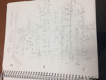Exam 1 Study Guide Upload