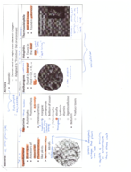 BIO 112 Origin of Life