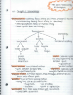 Chapter 1 Notes