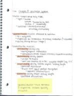 Chapter 3 Notes