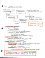 Chapter 4 Notes